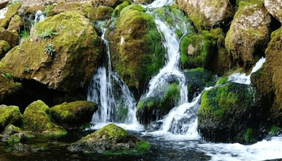 Pentru viitor protejăm resursele de apă cu ”Ape curate asumate”