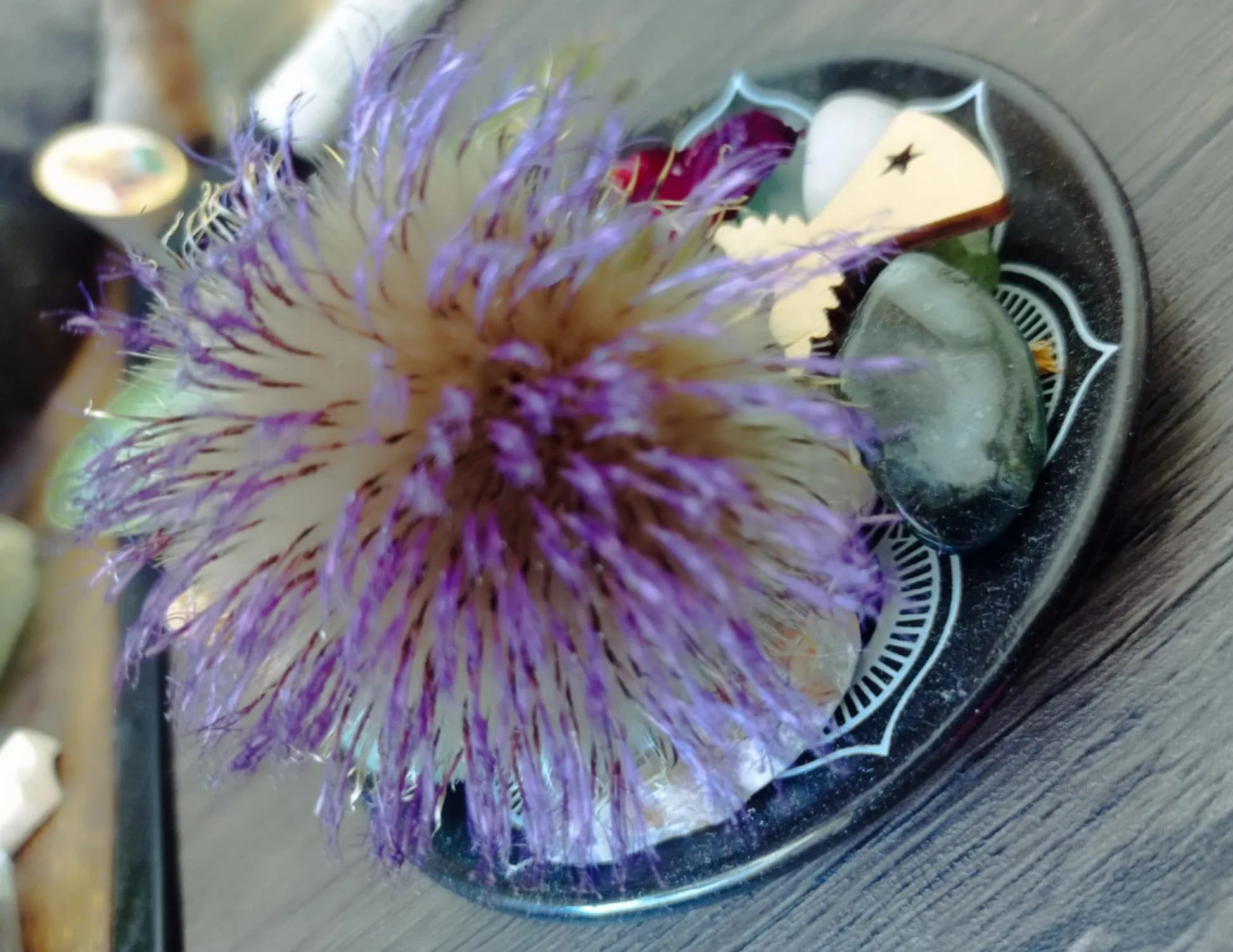 „Săptămâna Verde” aduce Spațiul Arborilor mai aproape de copii, la #FocusToGreenEcoLife